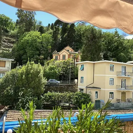 Vaniglia Daire Rapallo