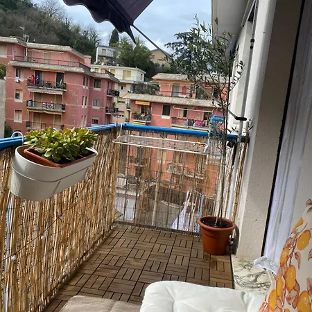 Vaniglia * Rapallo